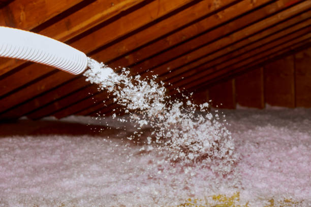 Best Energy Efficiency Solutions in Coral Hills, MD