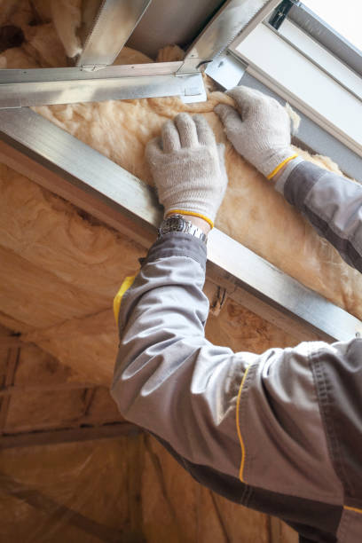 Best Specialty Insulation in Coral Hills, MD