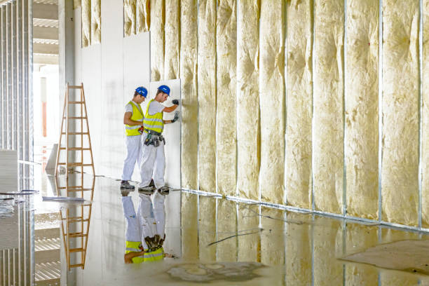 Best Types of Insulation in Coral Hills, MD